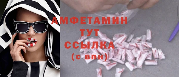 меф Дмитриев