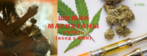 мяу мяу кристалл Гусь-Хрустальный