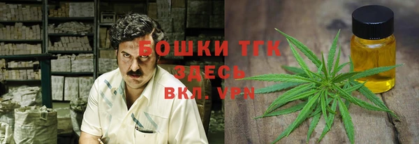 амф Дмитров