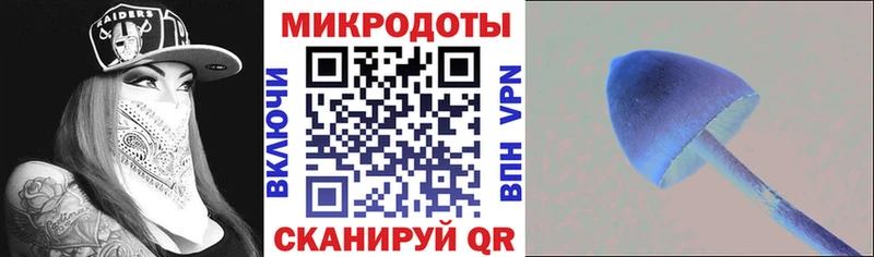 Псилоцибиновые грибы Magic Shrooms  где можно купить   Юрьевец 