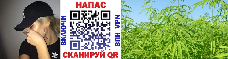 Канабис план  МЕГА tor  Юрьевец 